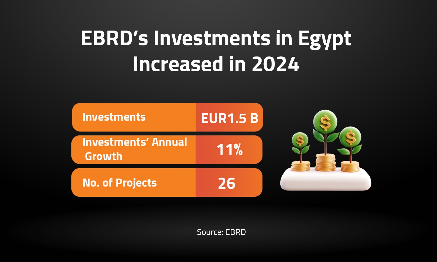 EBRD’s Investments in Egypt Increased in 2024 